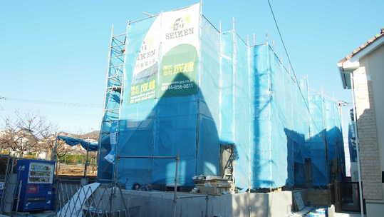 Other local. Local Photos