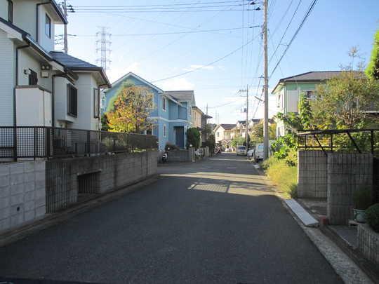 Local photos, including front road. Relaxed some front road (about 6m)