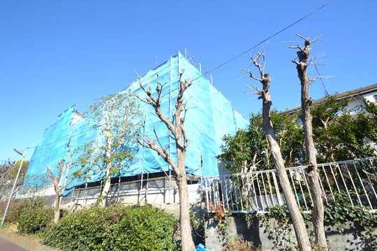 Local appearance photo.  [Local Photos]  ※ Photos posted 2013 December 12 shooting