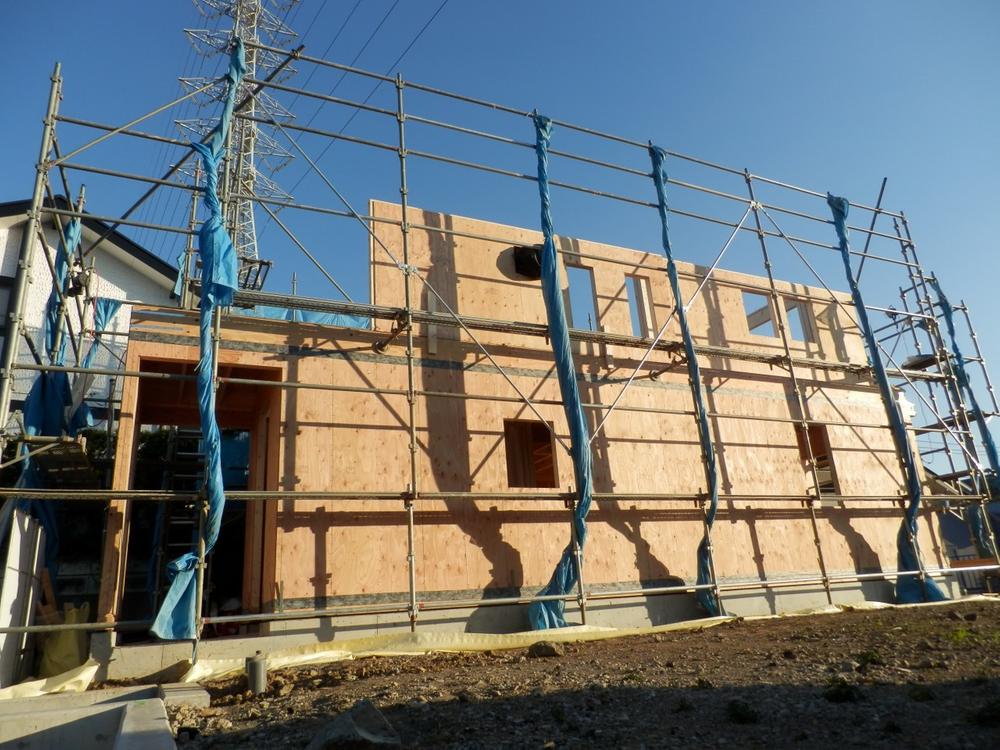 Other local. Local shooting (2013 end of November)