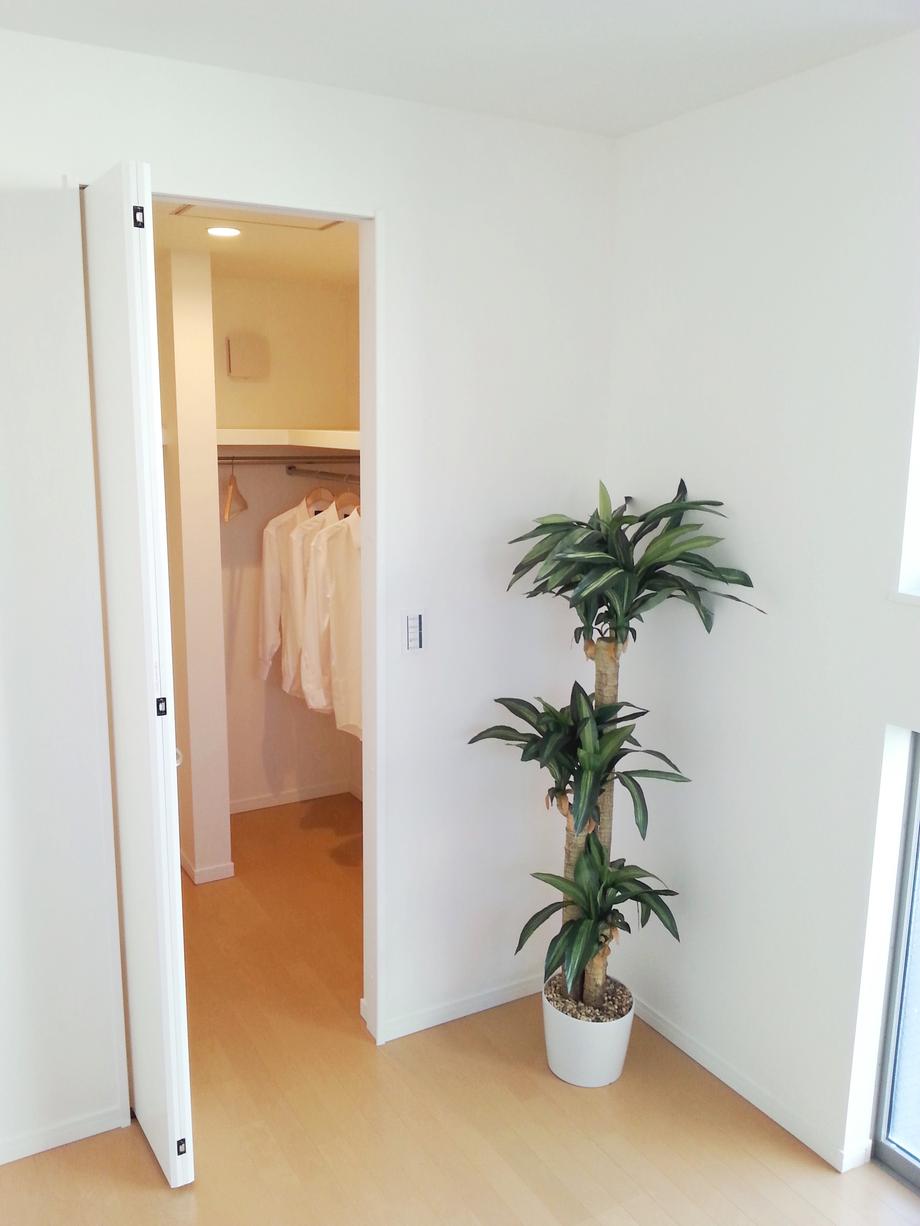 Other introspection. Interior 2013 / 12 shooting