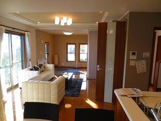 Living. The first floor living room: (December 5, 2013) Shooting