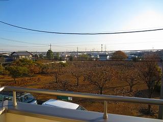 Balcony. South-facing from the second floor balcony: (December 5, 2013) Shooting