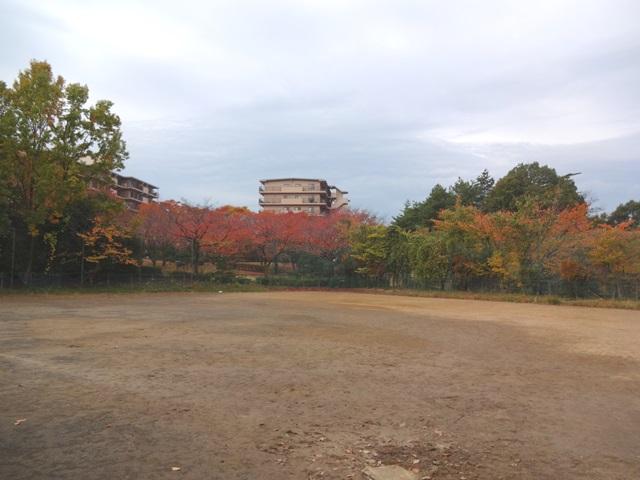 park. Nara comes boy to open space 10m