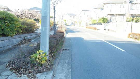 Local photos, including front road. Frontal road