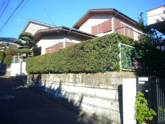 Local land photo. Local 1