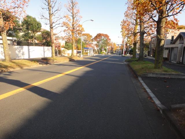 Streets around. 50m to local