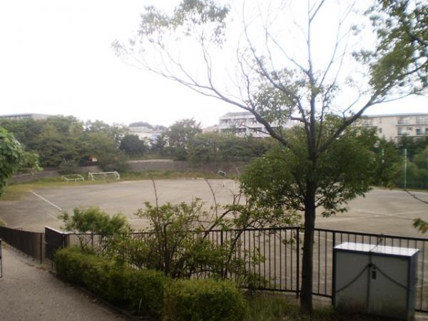 park. 80m to Hoki park