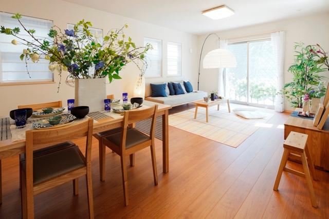 Living. Room (May 2013) Shooting