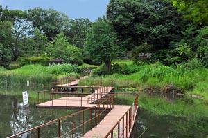 park. 830m until Moegino park