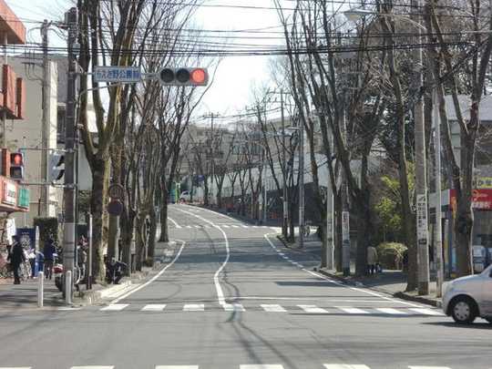 Local land photo. Roads around the property