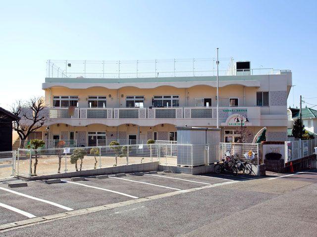 Other. Maple second nursery