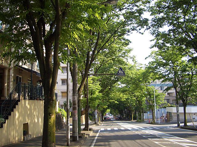 Streets around. 200m to Aoba's rooftops
