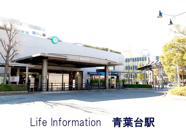 Other Environmental Photo. 1280m to aobadai station