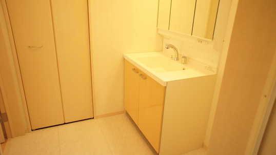 Wash basin, toilet. Washroom