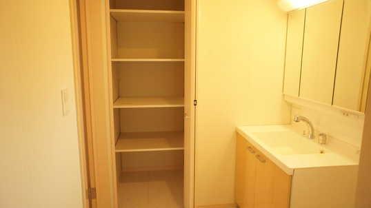 Wash basin, toilet. Washroom