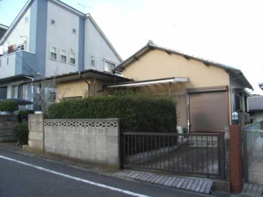 Local land photo. Appearance 1