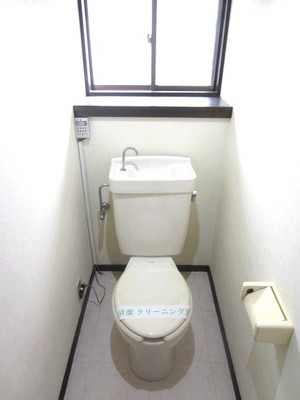 Toilet. Toilet on the ground floor