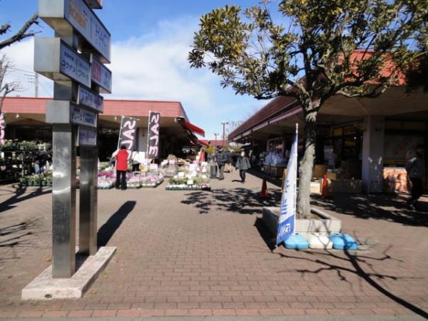 Other. South MakigaHara shopping center