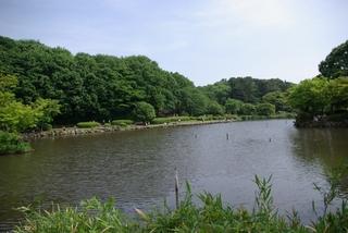 Other. Children's nature park