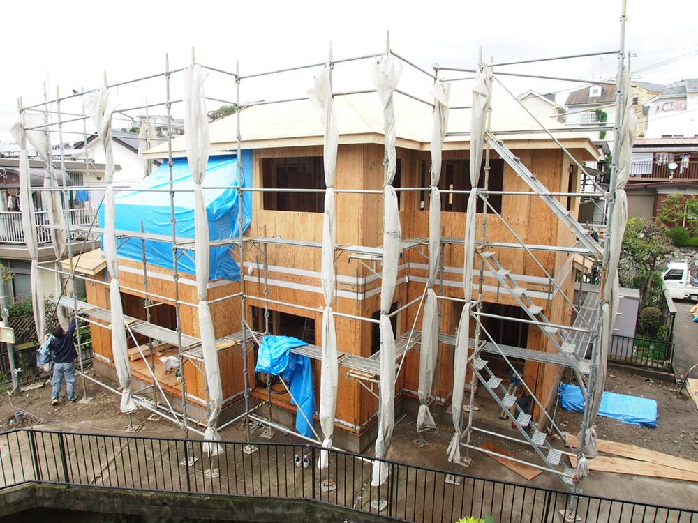 Local appearance photo. Local (late October 2013) Shooting