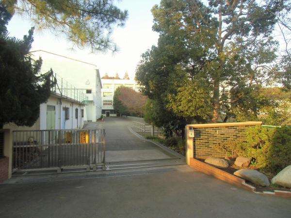 Junior high school. Tsuoka 1400m until junior high school