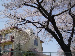 Primary school. 571m to Yokohama Municipal Tsuruke Mine Elementary School