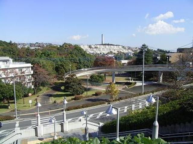 Other. It is about 530m to Shirane park.