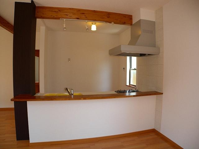 Kitchen. Room (August 2013) Shooting