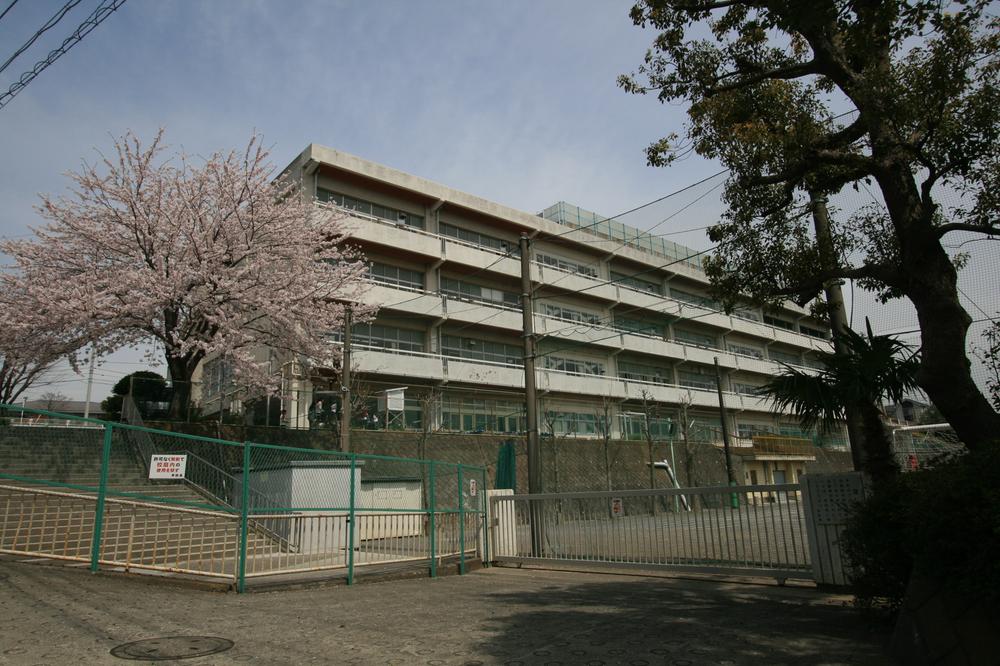 Primary school. Everything up to elementary school 60m