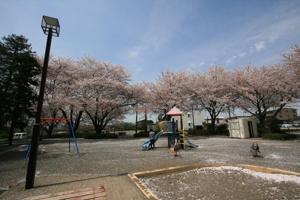 park. 240m up to everything the town park