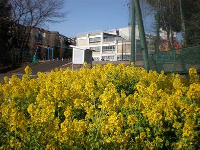 Primary school. 960m to Yokohama Municipal Nakao Elementary School