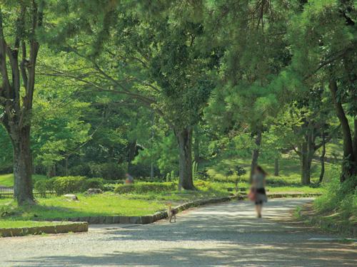 park. 2290m until the children nature park