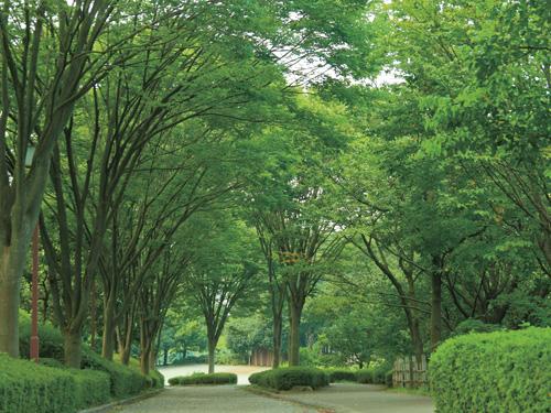 Other. "Imagawa park" of feel free to Tachiyoreru distance and a 6-minute walk. Ground, Tennis court, Multipurpose open spaceese garden, Such as lawn, Trimmed multi-purpose facility. Such as a slide or a combination playground equipment using the slope, I'm happy to family rich playground.