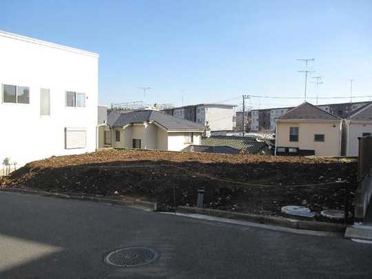 Local land photo. The entire photo (all three compartments)