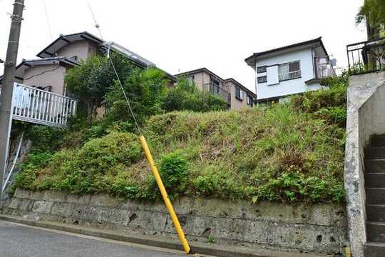 Local land photo. Is the current state vacant lot. Because of the old subdivision will be a quiet residential area.