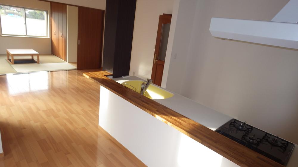 Living. Indoor (10 May 2013) Shooting