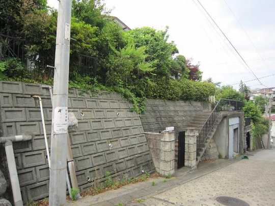 Local land photo. Local taken from the road (present condition delivery)