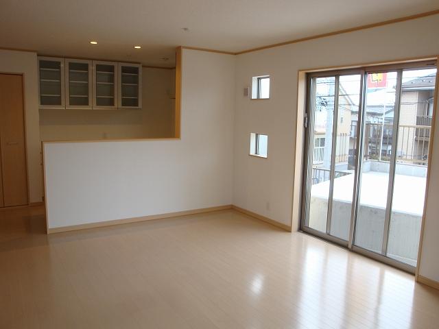 Living. Indoor (2013 May 31) shooting