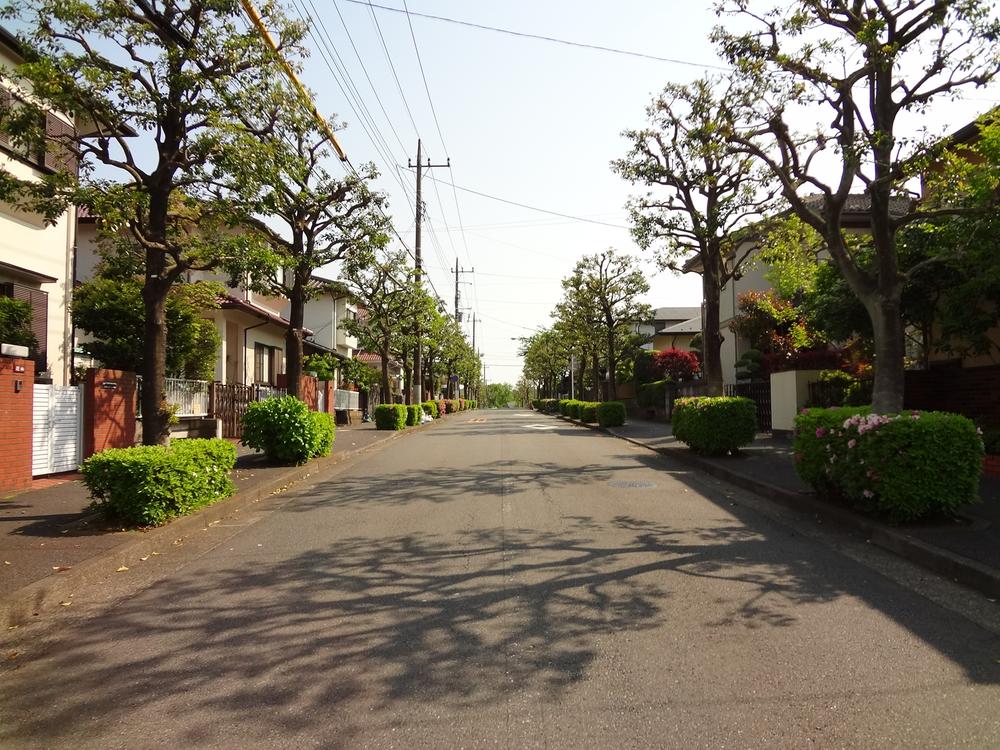 Local photos, including front road. Local (May 2013) Shooting