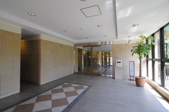 Entrance. Common areas