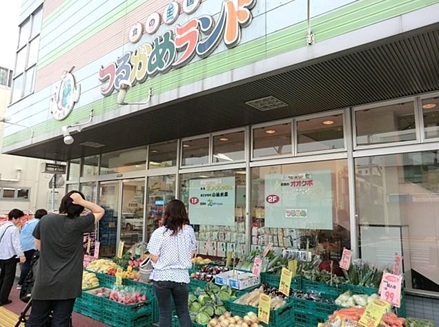 Supermarket. 480m to Super Tsurukame land