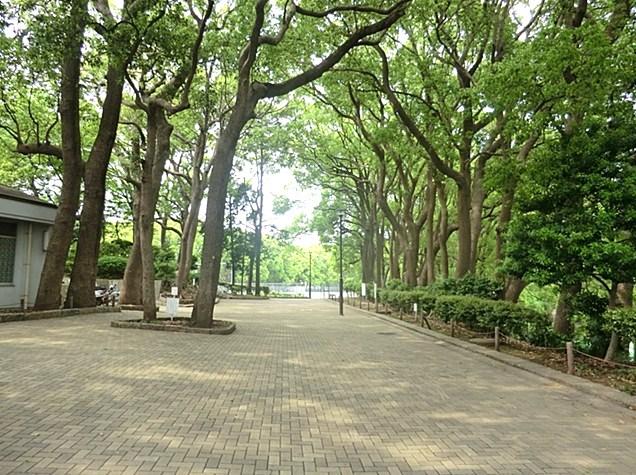 park. 240m to Tokiwa Park