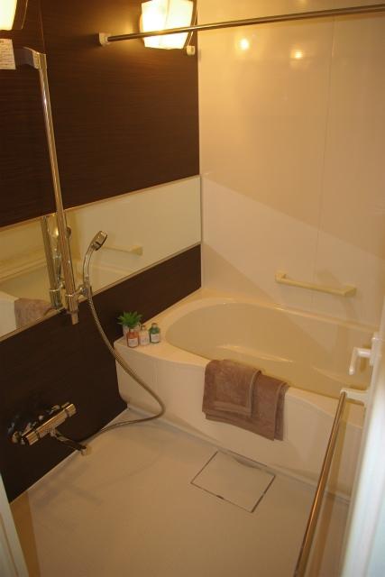 Bathroom. Indoor (12 May 2013) Shooting