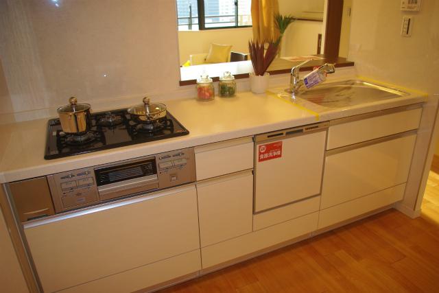 Kitchen. Indoor (12 May 2013) Shooting