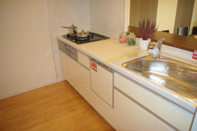 Kitchen. Indoor (12 May 2013) Shooting