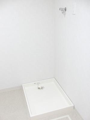 Other. Laundry Area