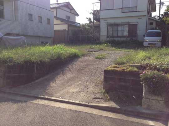 Local land photo. appearance