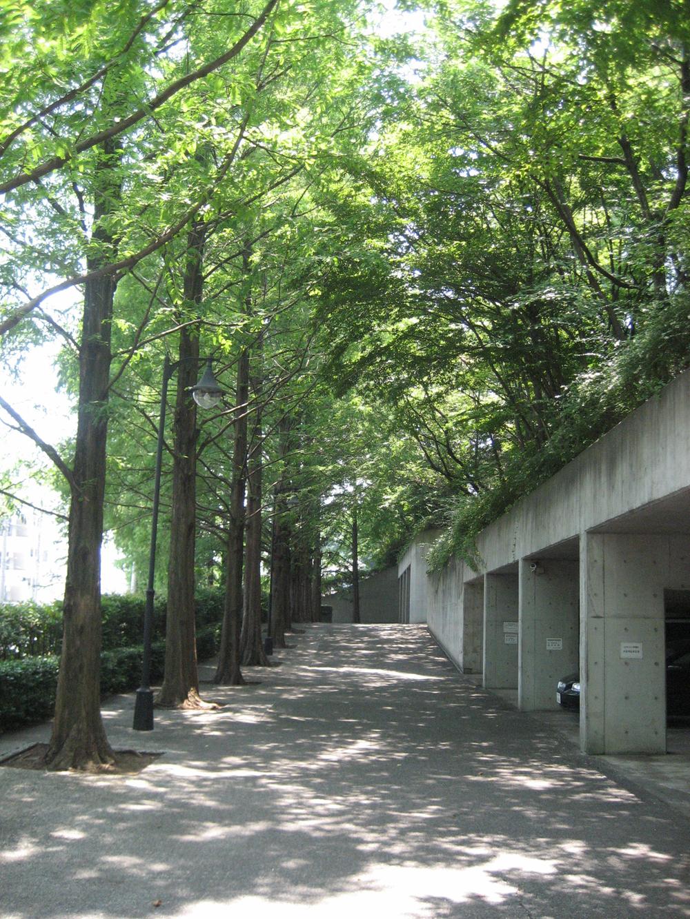 Other. Metasekoiya Namiki