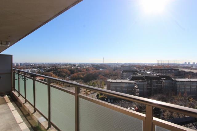 View photos from the dwelling unit. View from local